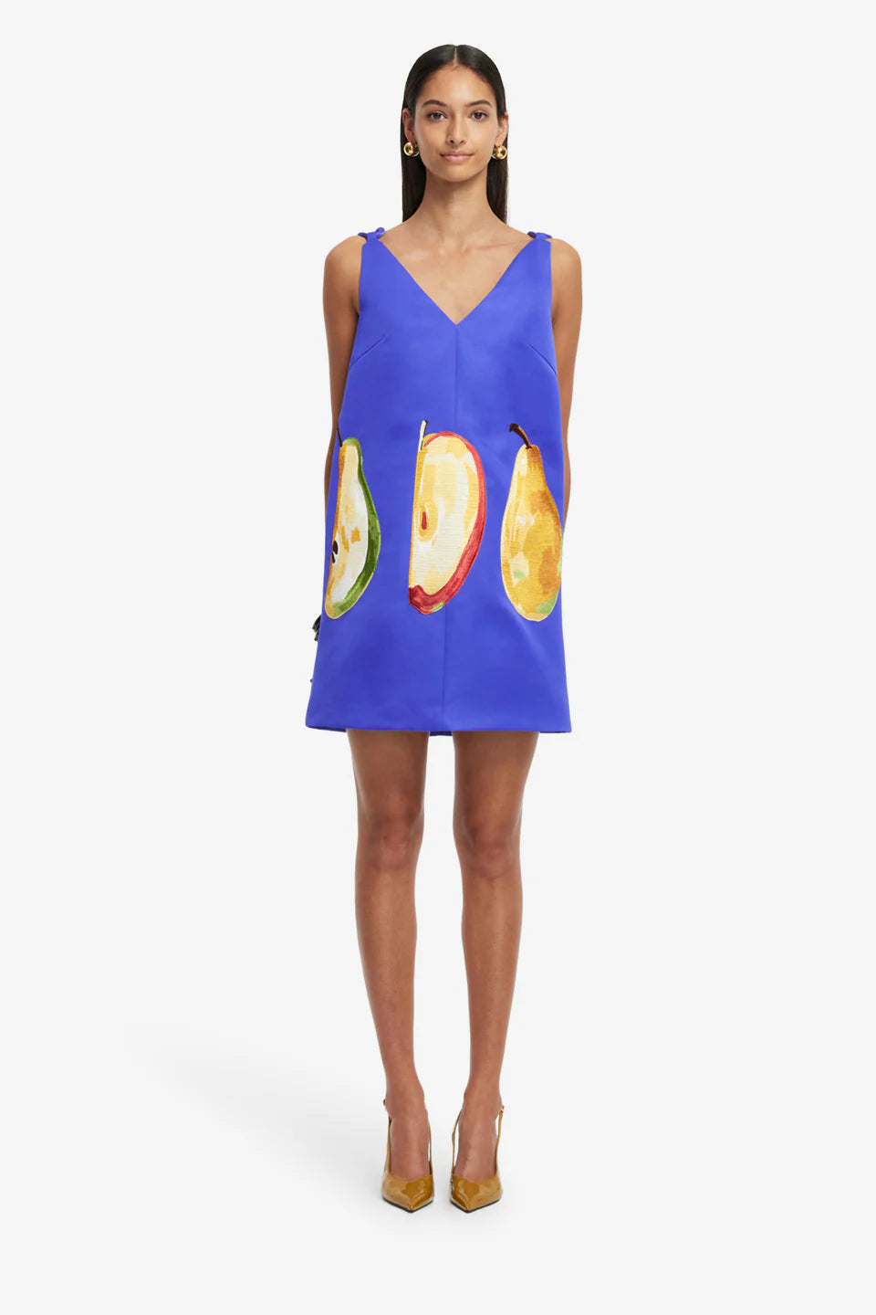 Leo Lin Taylor Embroidered Mini Dress