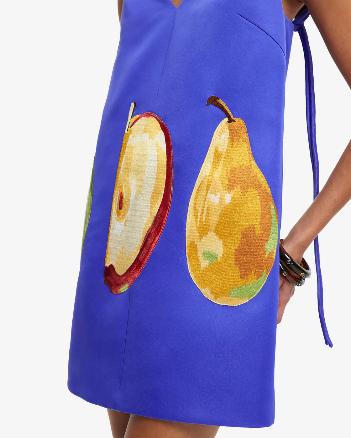 Leo Lin Taylor Embroidered Mini Dress