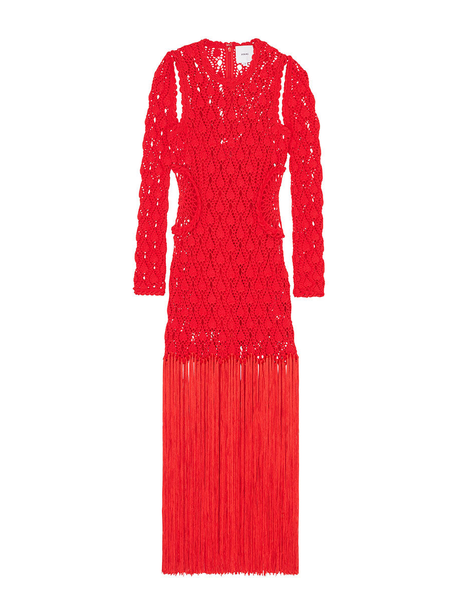 AKNVAS Willow crochet cutout fringe maxi dress 