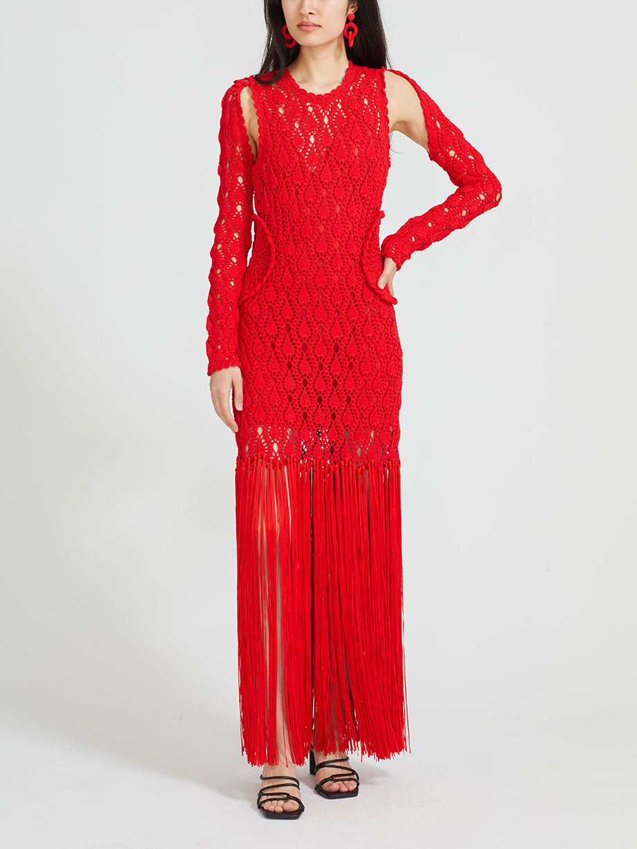 Aknvas Willow crochet cutout fringe maxi dress