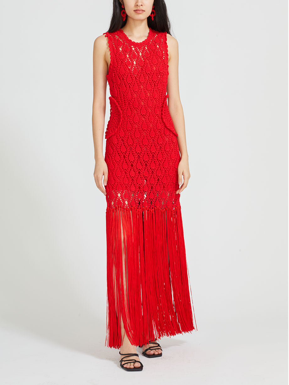 Aknvas Willow crochet cutout fringe maxi dress